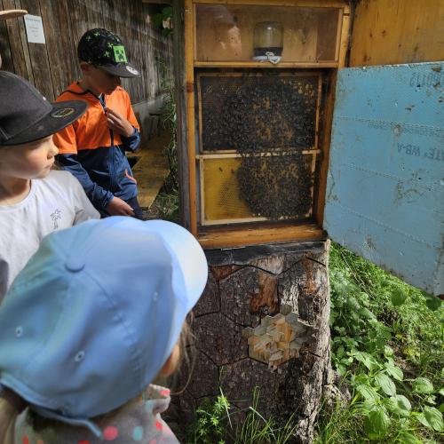 Bienen