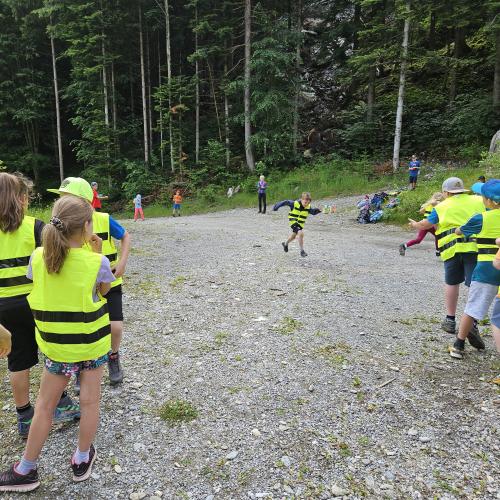 Bienen