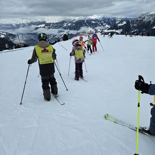Ski