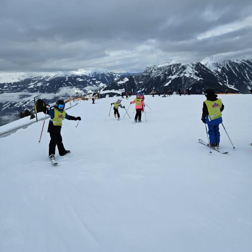 Ski