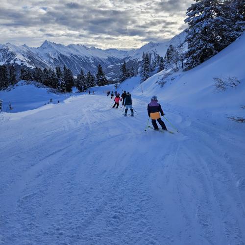 Ski