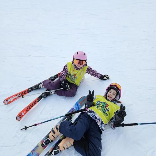 Ski