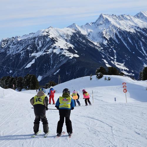 Ski