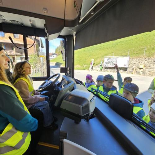 Bus