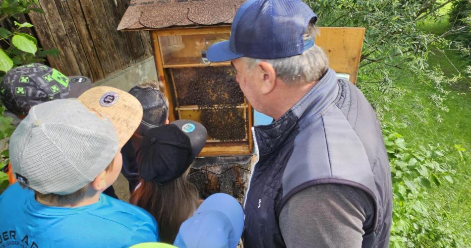 Bienen