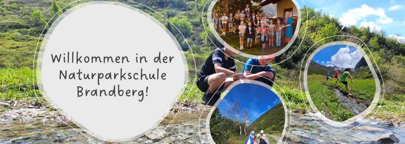 schule